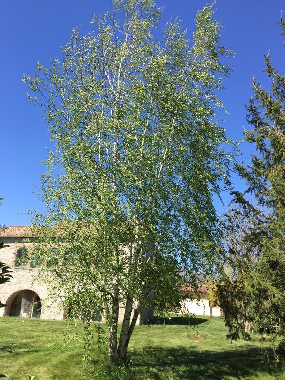 サン・マッシモ Agriturismo Le Due Arcateヴィラ エクステリア 写真